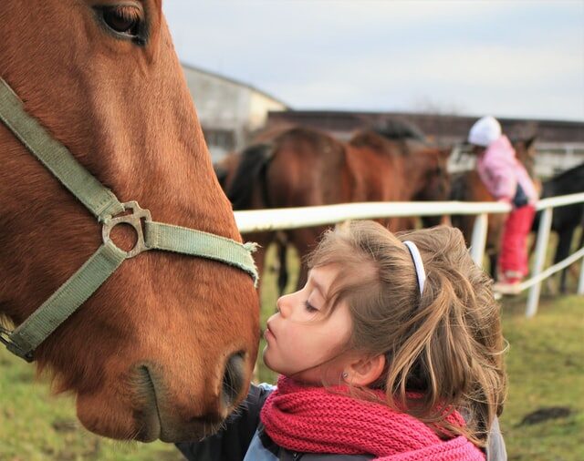 Enfant qui embrasse un cheval.